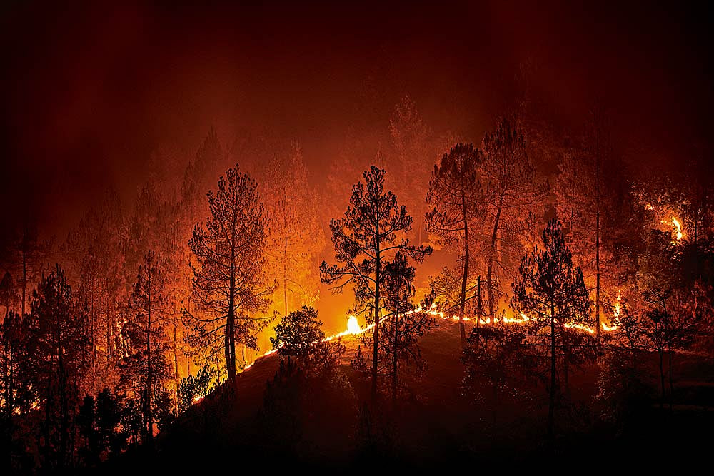 A forest fire at night in Barechhina, Almora, Uttarakhand