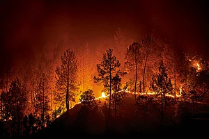 Photo: Shutterstock : A forest fire at night in Barechhina, Almora, Uttarakhand