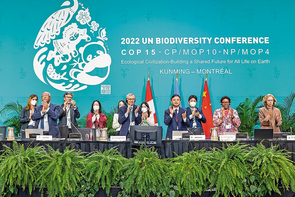 Delegates at 2022 UN Biodiversity Conference (COP 15) at Kunming, Montreal
