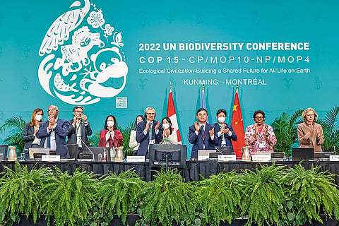 Delegates at 2022 UN Biodiversity Conference (COP 15) at Kunming, Montreal, set four goals for 2050 and 23 targets for 2030, including mobilising $200 billion per year for biodiversity