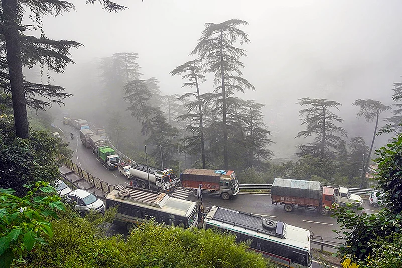 himachal pradesh trees