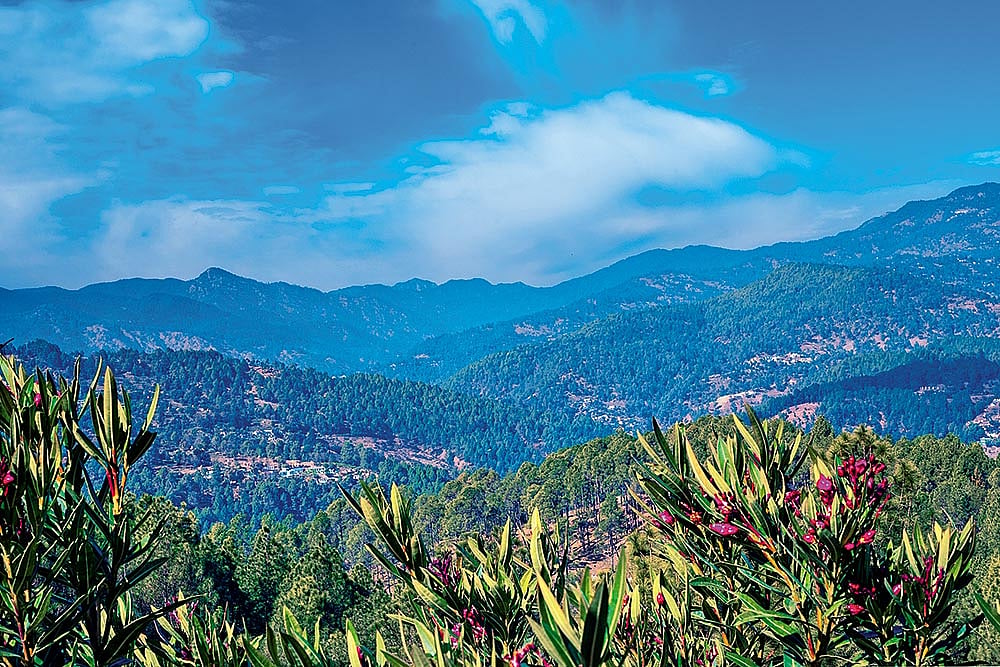 The scenic view from Kot Bhramari Temple, also known as Kote-ke-Mai