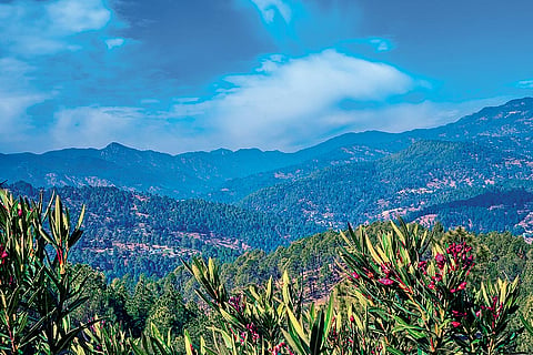 The scenic view from Kot Bhramari Temple, also known as Kote-ke-Mai, which is located 18 km away from Kausani, Uttarakhand	