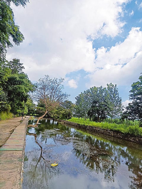 HESCO river