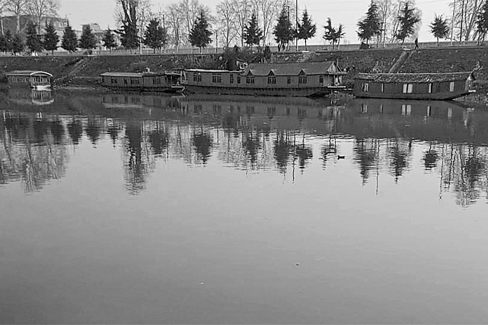 Photo: Hana Vahab : Changed Landscape: In 2022, a bunch of Chinar trees were seen along the Jhelum Bund