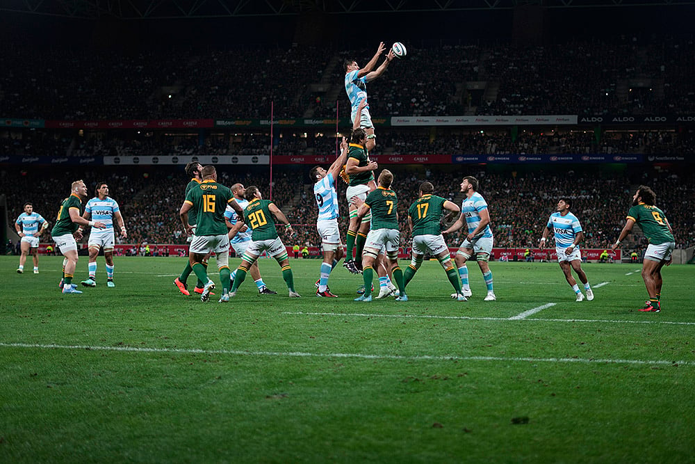 2024 Rugby Championship South Africa vs Argentina photo gallery_4