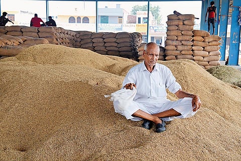 A farmer sits on a pile of unsold harvest at the Anaj Mandi in Kurukshetra
