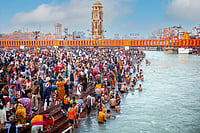 The Fair Factor Photo: Shutterstock