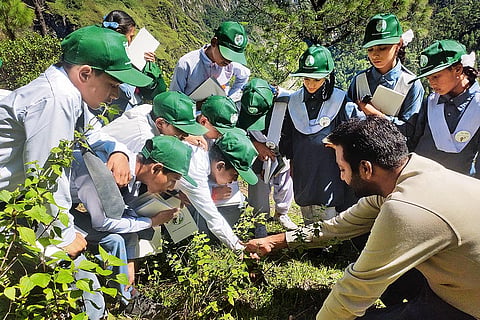 Children at a climate-resilient school in Pakhi, Chamoli