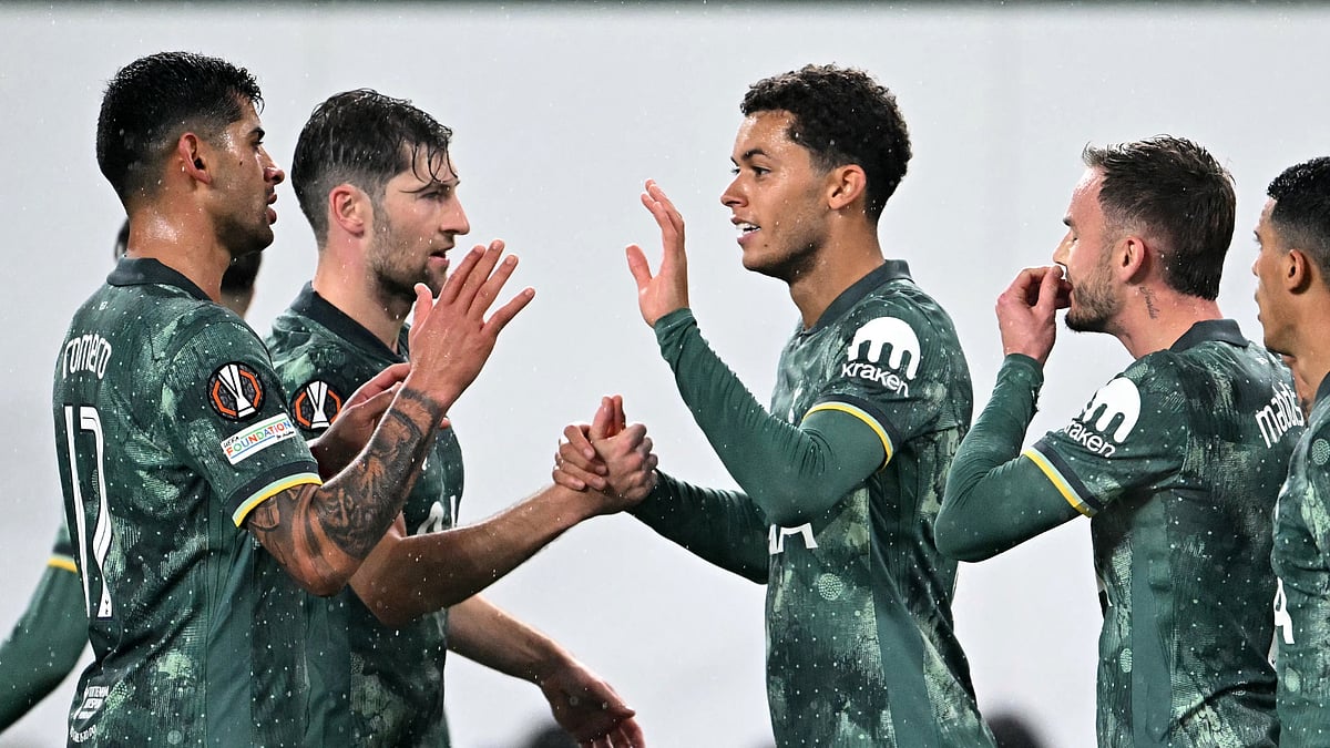 Brennan Johnson celebrates for Tottenham
