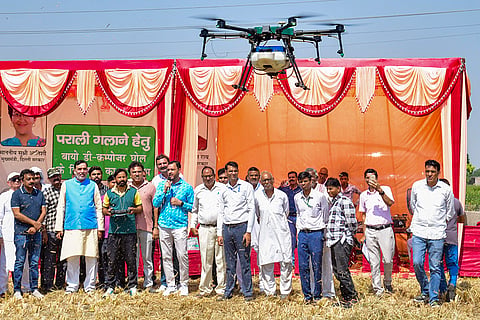 Bio-decomposer spraying in Delhi