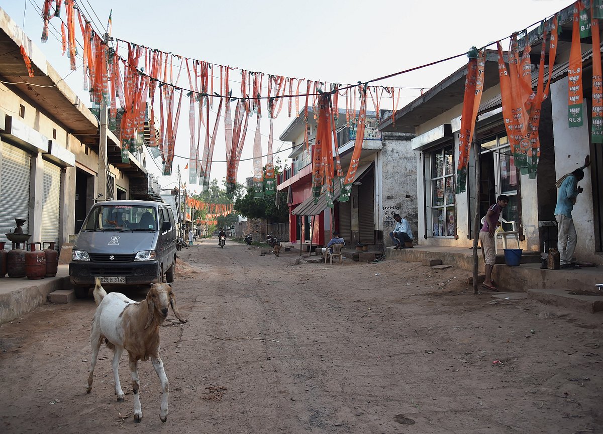 Prabhat Mehrotra/Outlook : BJP festoons in Ferozepur Jhirka, a Muslim-majority Assembly constituency in Nuh district, Haryana