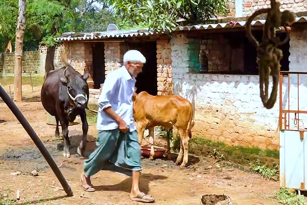 Mukhyamantri Pashudhan Vikas Yojana beneficiary in Jharkhand