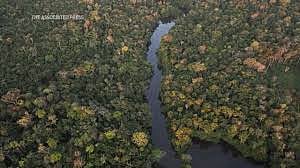AP : Amazon River (Representational Image)
