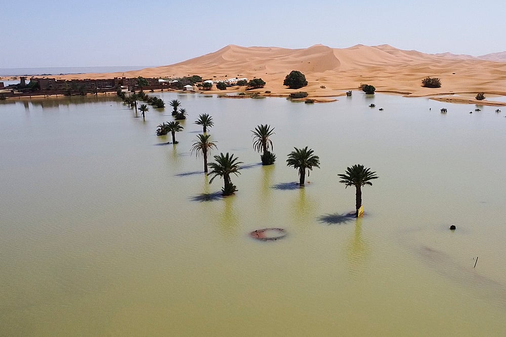 Desert Rain: Sahara Desert floods in Morocco_8