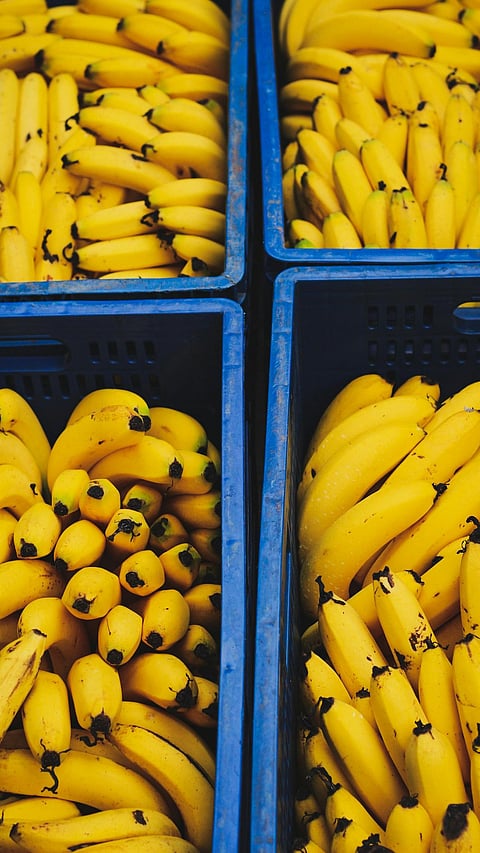 Bananas