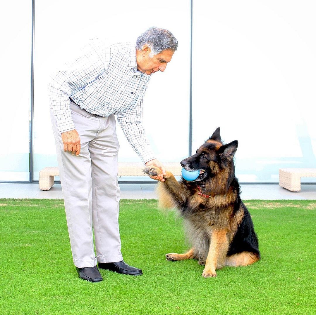Ratan Tata with a dog