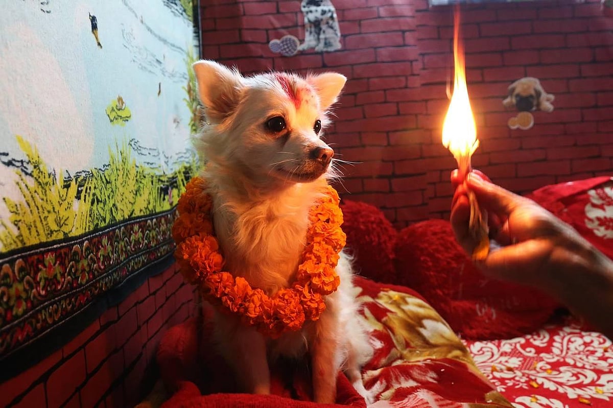 Diwali Celebrations in Nepal