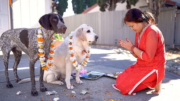 Kukur Tihar (Dog Tihar)