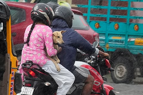 Tamil Nadu Rain