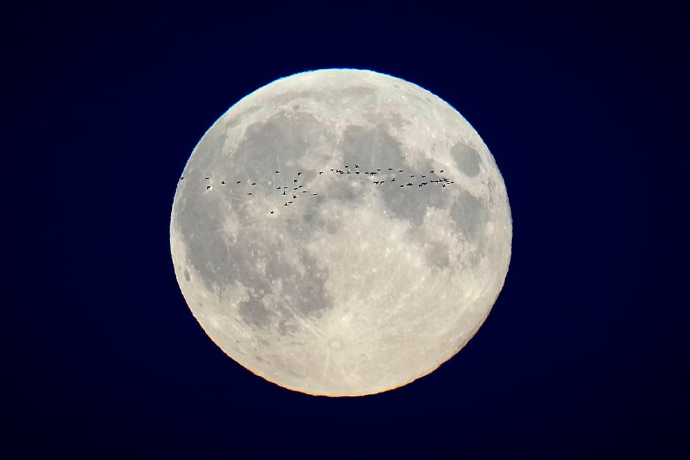 Supermoon of October 17, 2024 Photo gallery_3