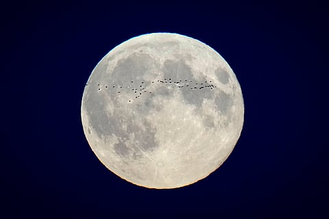 Supermoon in Tallinn, Estonia