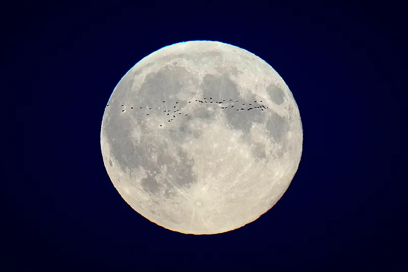 Supermoon of October 17, 2024 Photo gallery_3