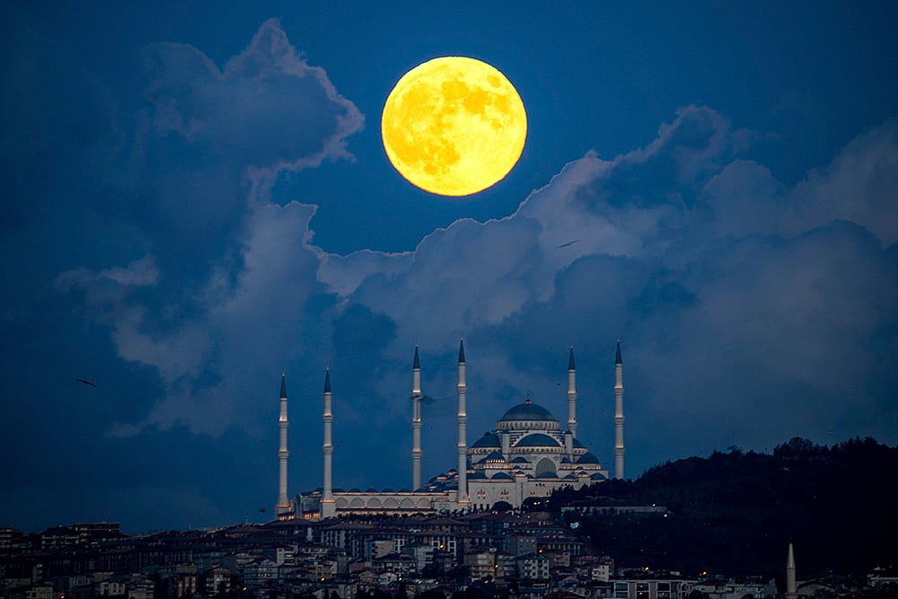 Supermoon of October 17, 2024 Photo gallery_5
