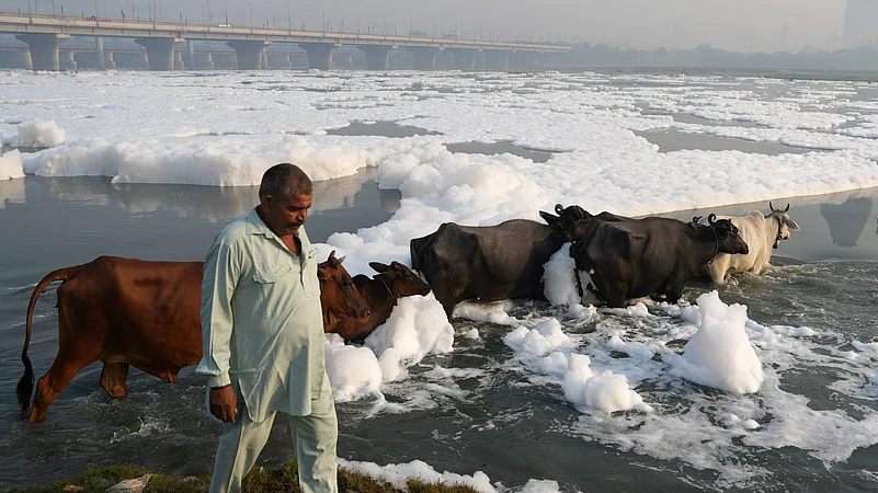 Yamuna Delhi NCR pollution winter