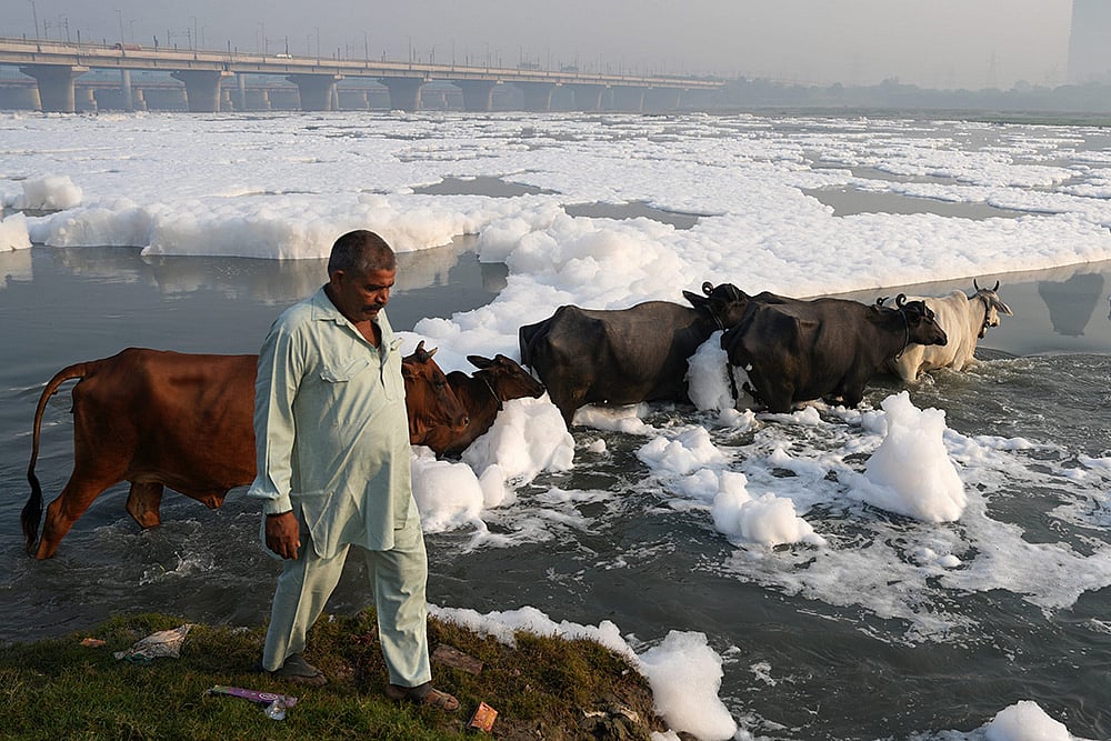 Yamuna river pollution: Toxic foam floats on the surface of the Yamuna river, in New Delhi_4