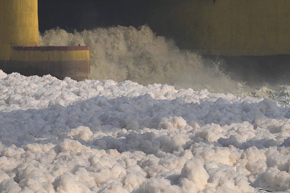 Yamuna river pollution: Toxic foam floats on the surface of the Yamuna river, in New Delhi_3