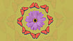 Vikas Thakur : representative image
