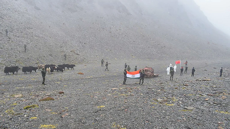 (FILE PHOTO) Indian Army handed over 13 yaks and four calves that strayed across the LAC on Aug. 31, 2020, in East Arunachal Pradesh to China. - PTI