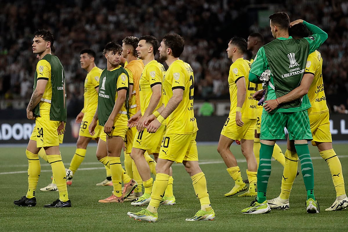2024-25 UEFA Champions League Atletico Madrid Vs LOSC Lille soccer gallery