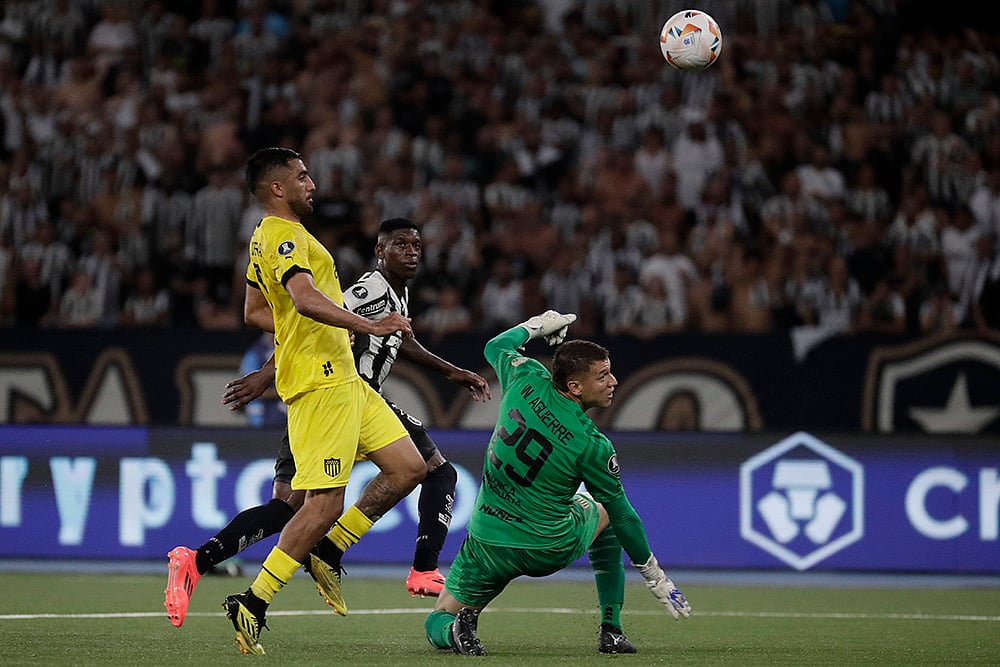 2024-25 UEFA Champions League Atletico Madrid Vs LOSC Lille soccer gallery_Luiz Henrique