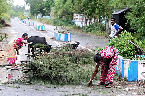 Cyclone ‘Dana’: People remove uprooted trees in Purba Medinipur