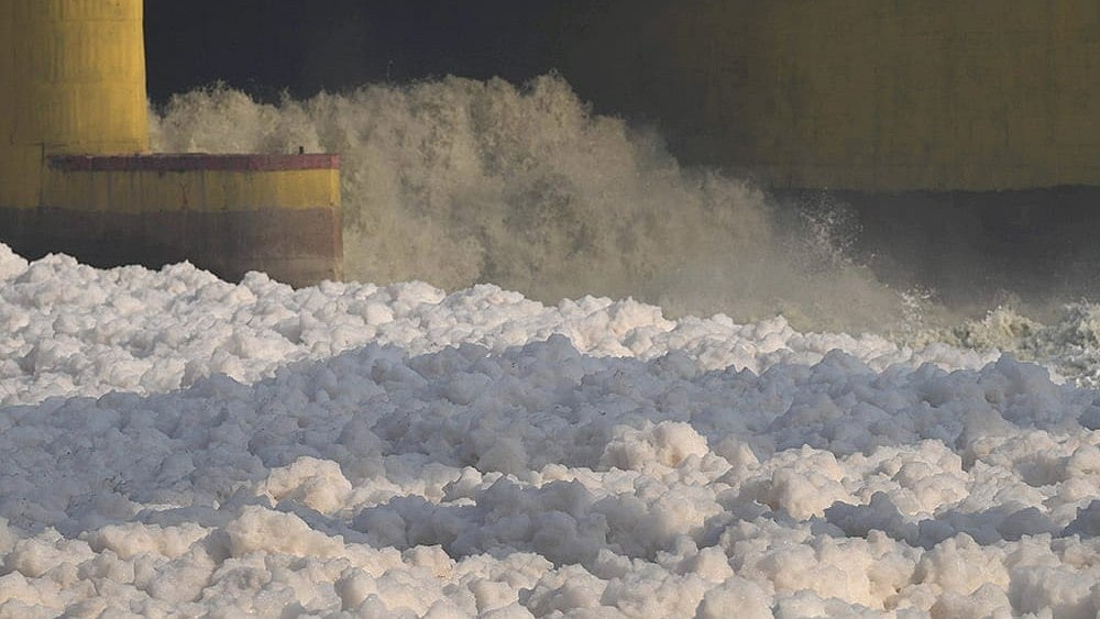Photo: PTI/Ravi Choudhary : Toxic foam floats on the surface of the Yamuna river