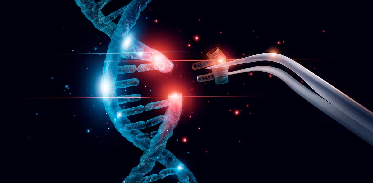 South Africa Paves Way For Genetically Modified Children: A New Era In Genome Editing