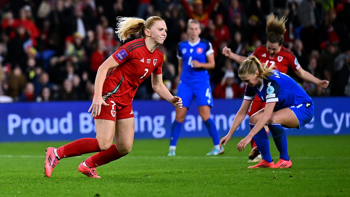 Holland celebrates Wales' winner
