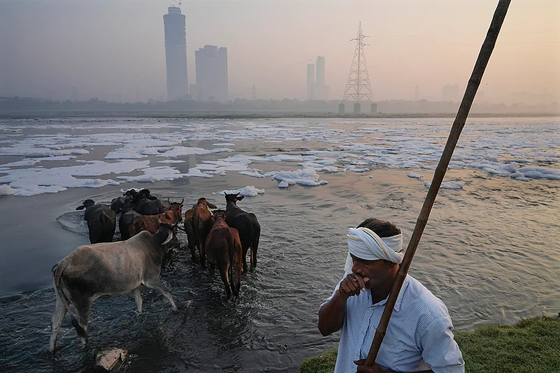 India Pollution Yamuna River (Water) Pollution Photo Gallery_2