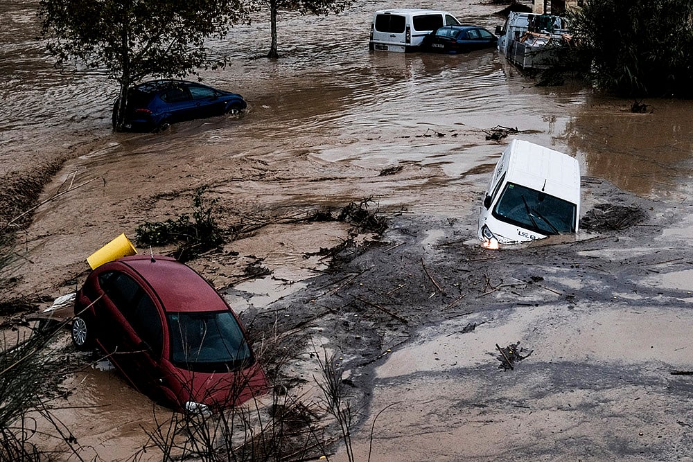 Photo: AP/Gregorio Marrero