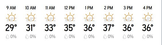 Hourly Weather Forecast