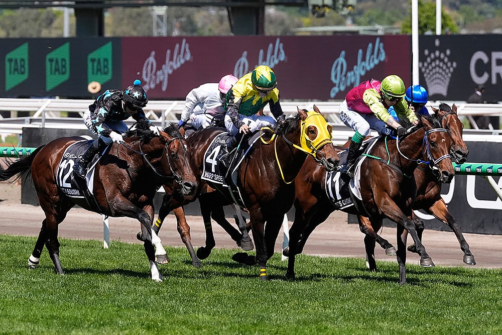 Melbourne Cup