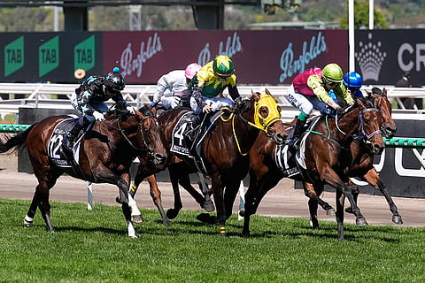 Horse Racing