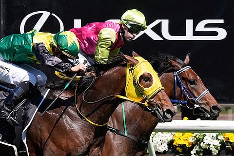 Melbourne Cup Horse Race