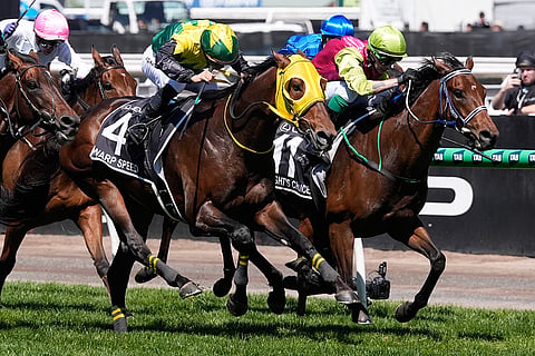 Australia Melbourne Cup Horse Racing