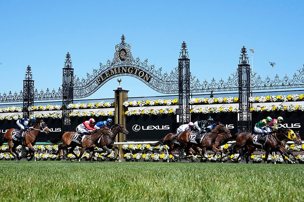 Melbourne Cup Horse Race