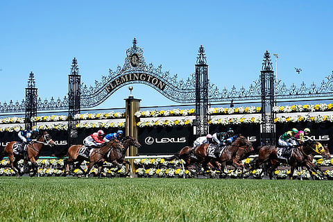 Australia Melbourne Cup Horse Racing