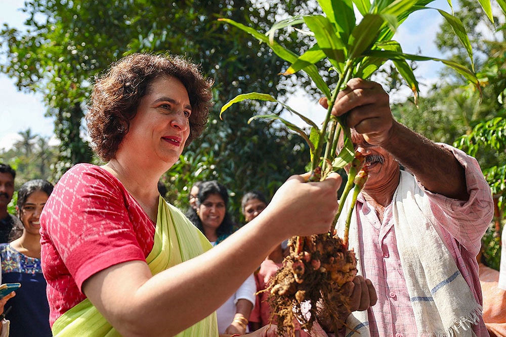 Priyanka Gandhi