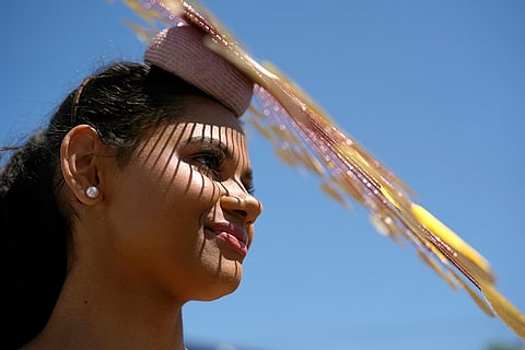 Melbourne Cup Horse Race